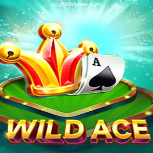 Explore WildAce: A New Experience in the Online Gaming Arena